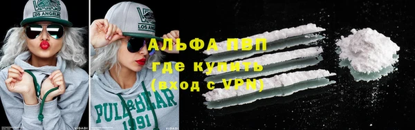 дживик Богородск