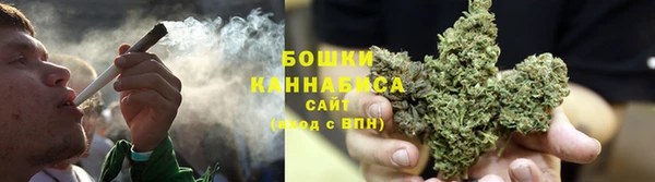 кокс Белокуриха