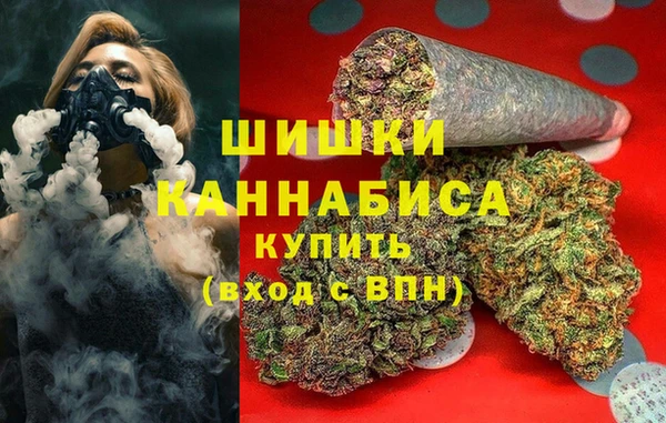 дживик Богородск