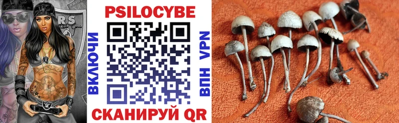 Псилоцибиновые грибы Psilocybine cubensis  где купить наркоту  Городец 
