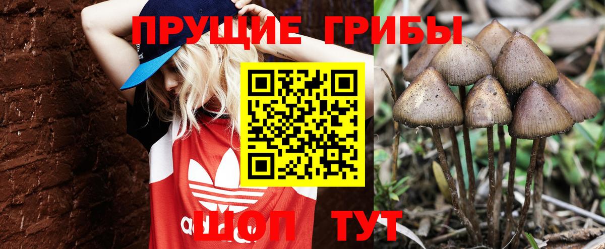 Городец  Псилоцибиновые грибы мицелий  Вход с VPN  Псилоцибиновые грибы Magic Shrooms 